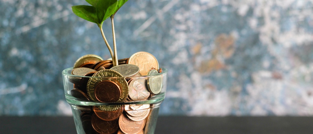plant growing out of a cup of coins