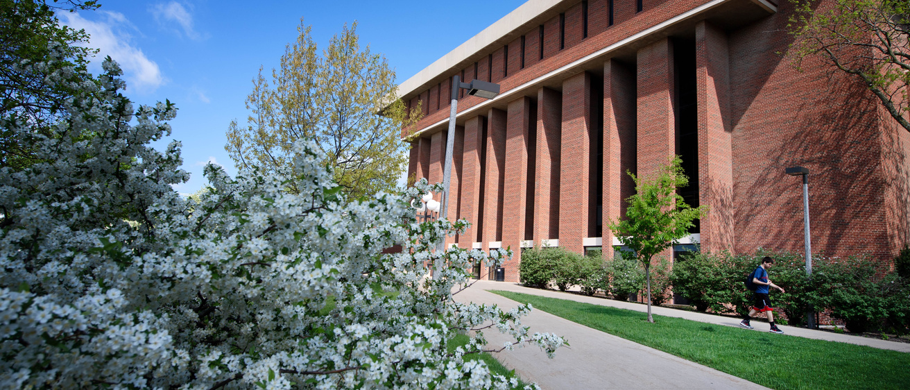 External view of the UI Main Library during spring